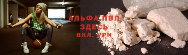 ешки Инта