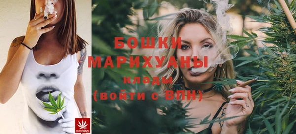 ешки Инта
