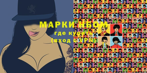 ешки Инта