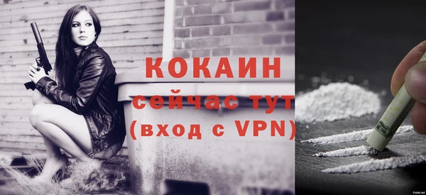 ешки Инта