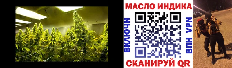 Купить где  Балтийск  ТГК гашишное масло 